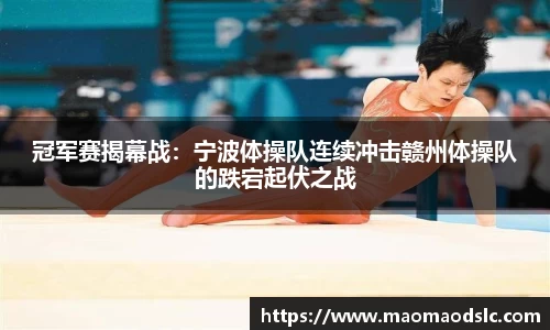 yy易游体育官网
