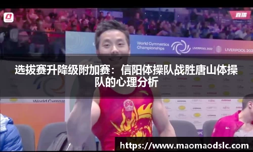 选拔赛升降级附加赛：信阳体操队战胜唐山体操队的心理分析