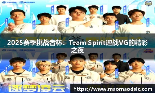 2025赛季挑战者杯：Team Spirit迎战VG的精彩之夜