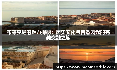 布莱克尼的魅力探秘：历史文化与自然风光的完美交融之旅