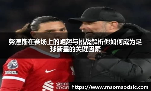 努涅斯在赛场上的崛起与挑战解析他如何成为足球新星的关键因素